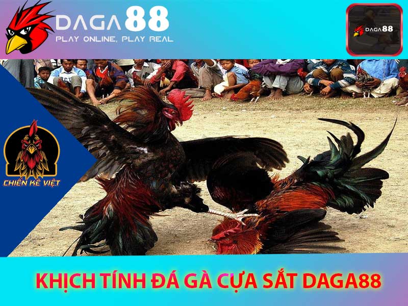 daga88-daga88cuasat